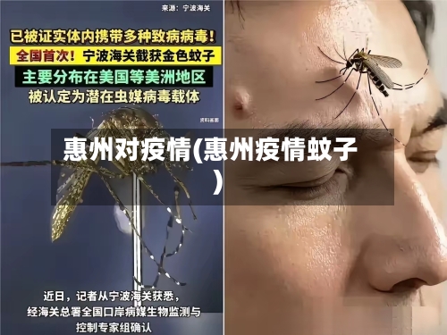 惠州对疫情(惠州疫情蚊子)-第1张图片