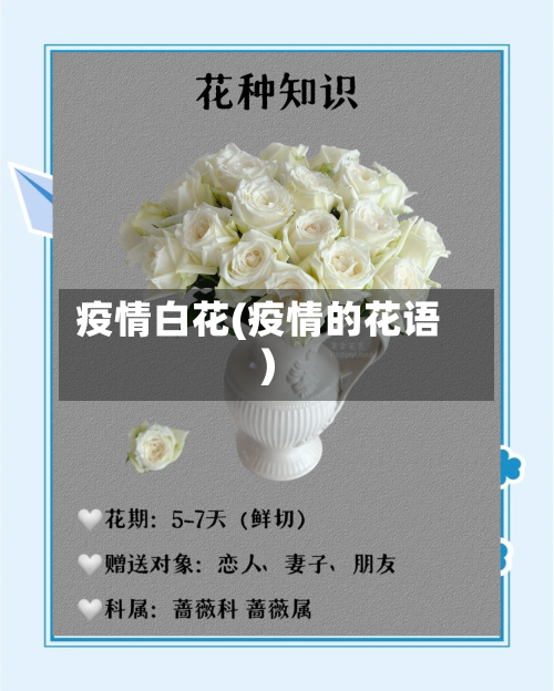 疫情白花(疫情的花语)-第3张图片