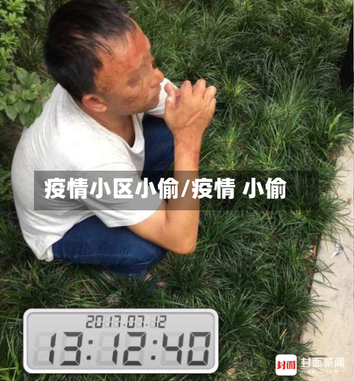 疫情小区小偷/疫情 小偷-第3张图片