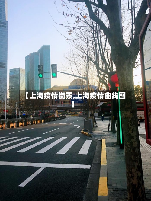 【上海疫情街景,上海疫情曲线图】-第1张图片
