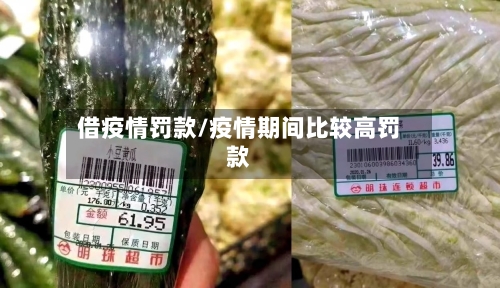 借疫情罚款/疫情期间比较高罚款-第2张图片