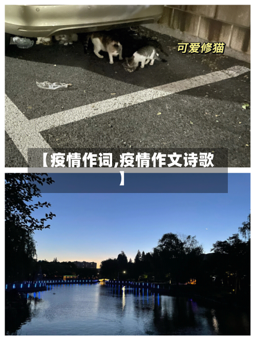 【疫情作词,疫情作文诗歌】-第1张图片