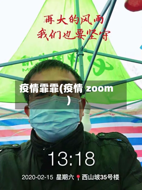 疫情霏霏(疫情 zoom)-第3张图片