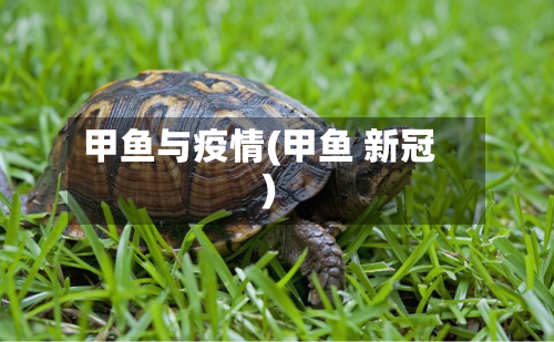 甲鱼与疫情(甲鱼 新冠)-第1张图片