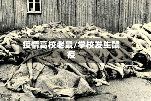 疫情高校老鼠/学校发生鼠疫-第1张图片
