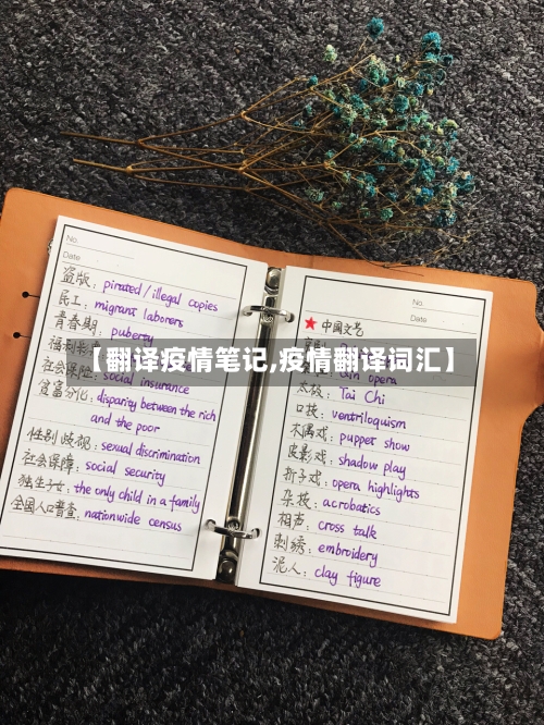 【翻译疫情笔记,疫情翻译词汇】-第1张图片