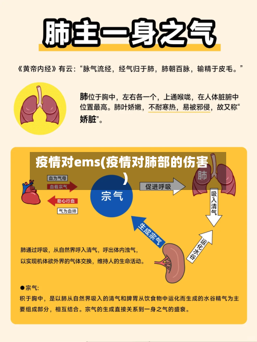 疫情对ems(疫情对肺部的伤害)-第1张图片