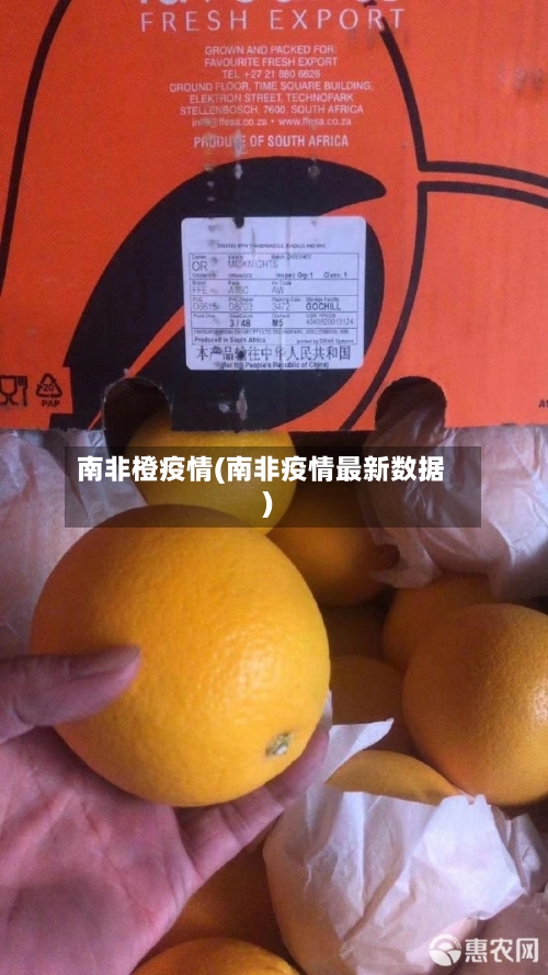 南非橙疫情(南非疫情最新数据)-第1张图片