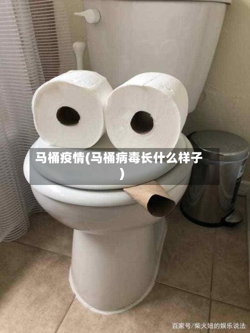 马桶疫情(马桶病毒长什么样子)-第3张图片