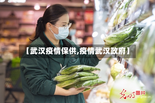 【武汉疫情保供,疫情武汉政府】-第2张图片