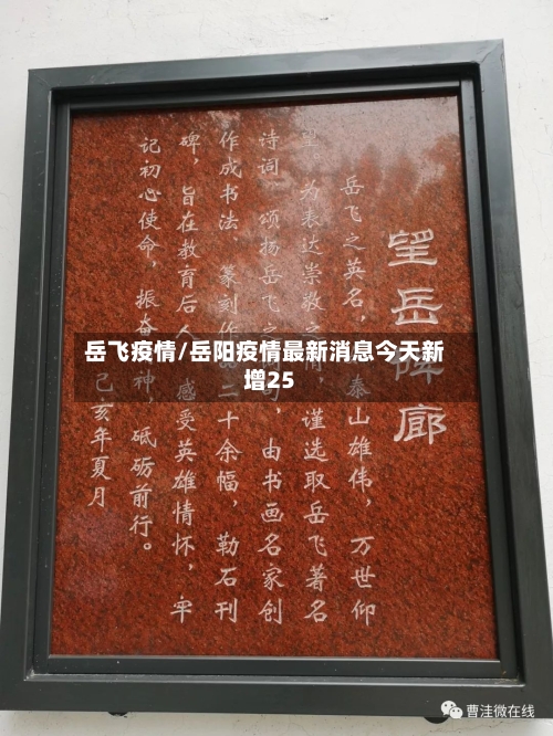 岳飞疫情/岳阳疫情最新消息今天新增25-第2张图片