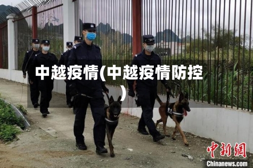 中越疫情(中越疫情防控)-第2张图片