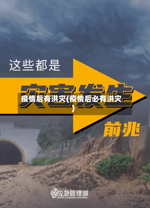 疫情后有洪灾(疫情后必有洪灾)-第3张图片