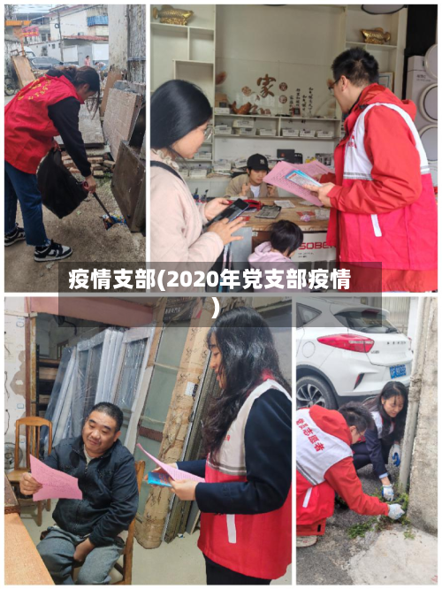 疫情支部(2020年党支部疫情)-第2张图片