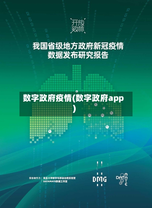 数字政府疫情(数字政府app)-第1张图片