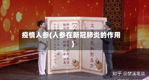 疫情人参(人参在新冠肺炎的作用)-第1张图片