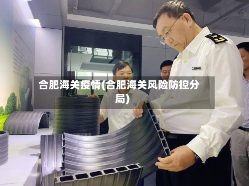 合肥海关疫情(合肥海关风险防控分局)-第1张图片