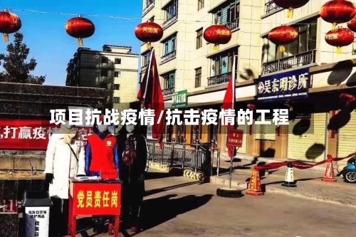 项目抗战疫情/抗击疫情的工程-第2张图片