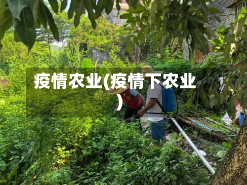 疫情农业(疫情下农业)-第1张图片