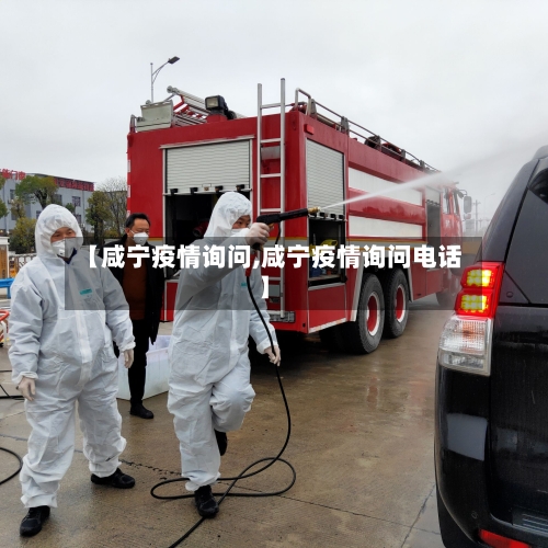 【咸宁疫情询问,咸宁疫情询问电话】-第3张图片