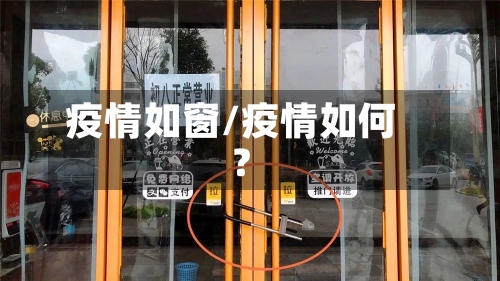 疫情如窗/疫情如何?-第2张图片