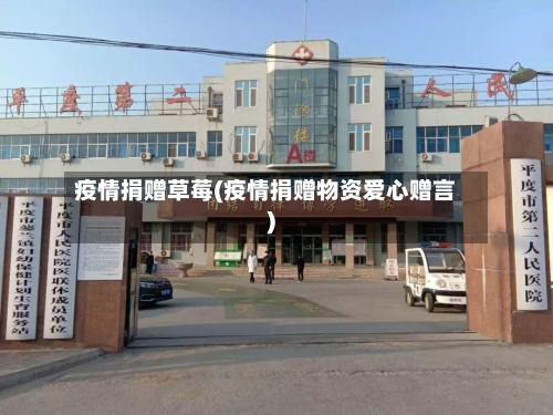 疫情捐赠草莓(疫情捐赠物资爱心赠言)-第1张图片