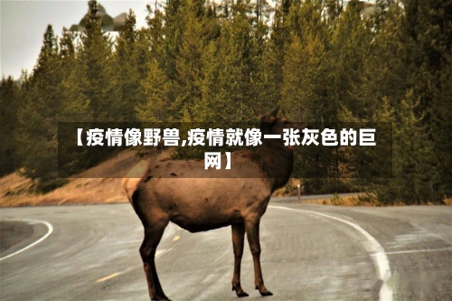 【疫情像野兽,疫情就像一张灰色的巨网】-第1张图片