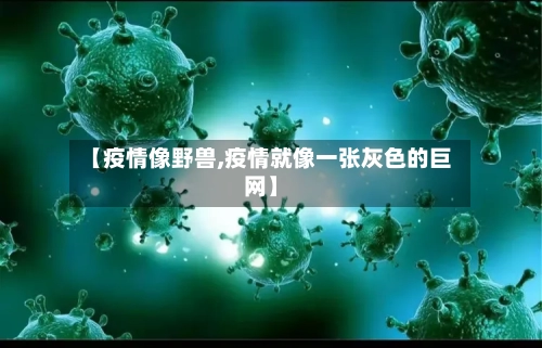 【疫情像野兽,疫情就像一张灰色的巨网】-第2张图片