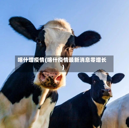 喀什增疫情(喀什疫情最新消息零增长)-第3张图片