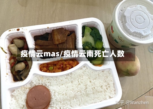 疫情云mas/疫情云南死亡人数-第3张图片