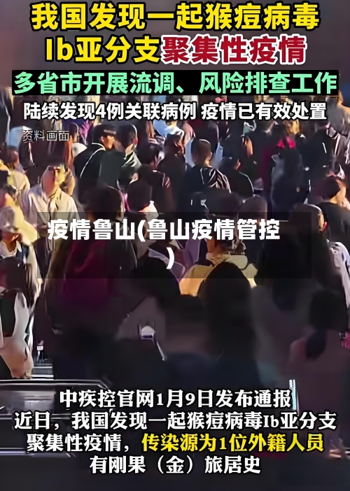 疫情鲁山(鲁山疫情管控)-第3张图片