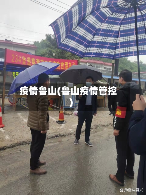 疫情鲁山(鲁山疫情管控)-第1张图片