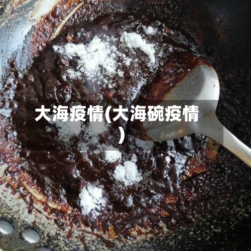 大海疫情(大海碗疫情)-第3张图片