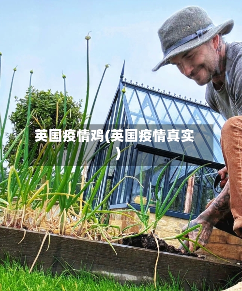 英国疫情鸡(英国疫情真实)-第1张图片