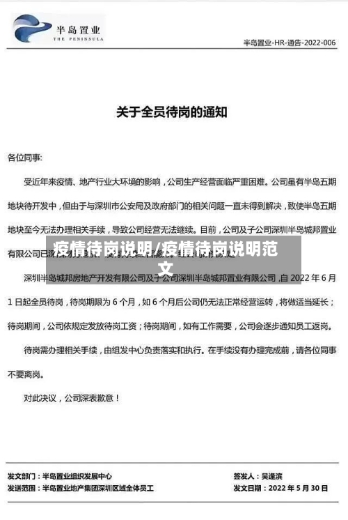 疫情待岗说明/疫情待岗说明范文-第1张图片