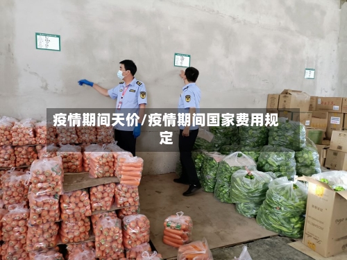 疫情期间天价/疫情期间国家费用规定-第2张图片