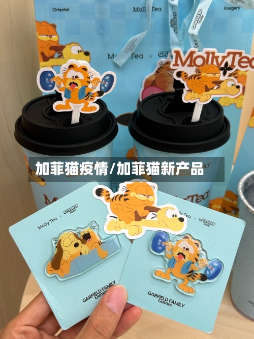 加菲猫疫情/加菲猫新产品-第1张图片