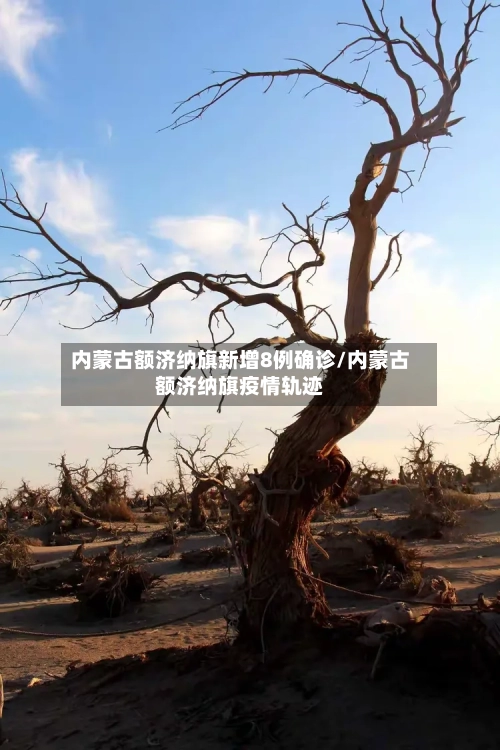 内蒙古额济纳旗新增8例确诊/内蒙古额济纳旗疫情轨迹-第1张图片