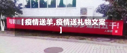 【疫情送羊,疫情送礼物文案】-第3张图片