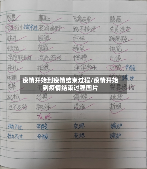 疫情开始到疫情结束过程/疫情开始到疫情结束过程图片-第1张图片