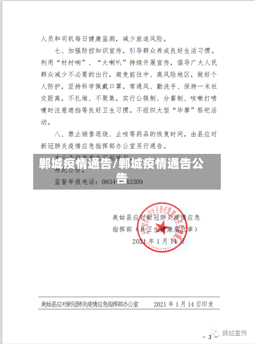 郸城疫情通告/郸城疫情通告公告-第3张图片