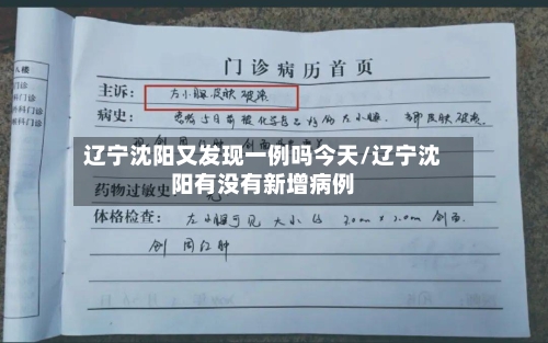 辽宁沈阳又发现一例吗今天/辽宁沈阳有没有新增病例-第2张图片