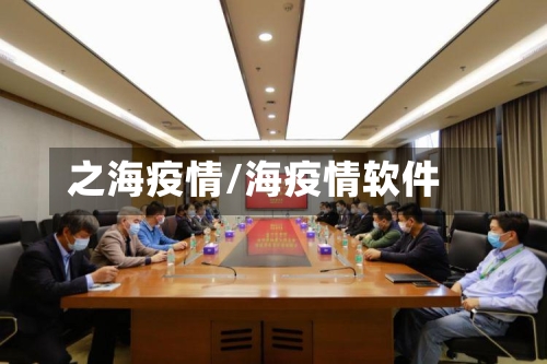之海疫情/海疫情软件-第1张图片