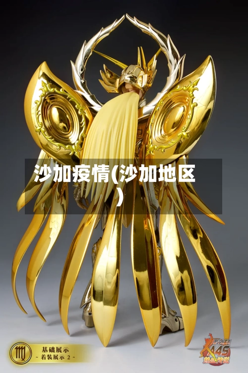 沙加疫情(沙加地区)-第3张图片