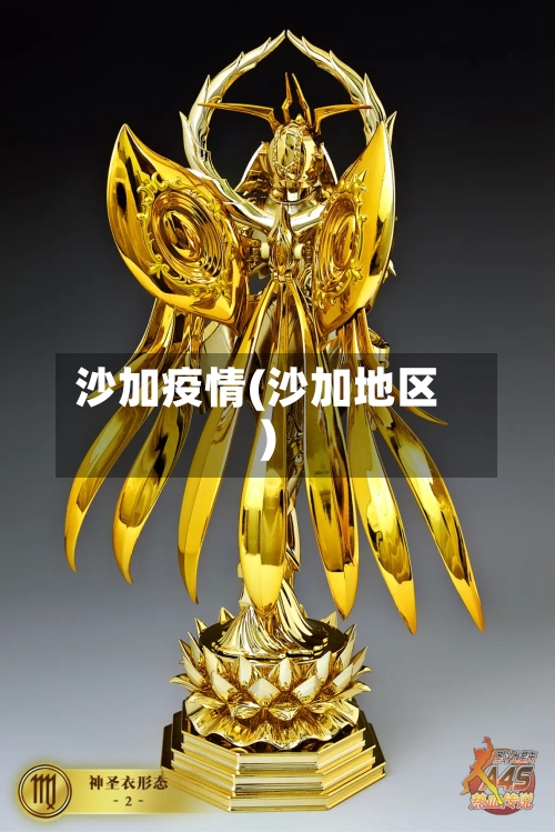 沙加疫情(沙加地区)-第1张图片