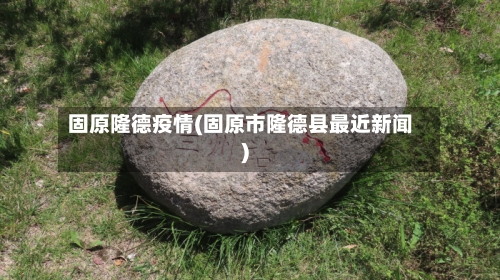 固原隆德疫情(固原市隆德县最近新闻)-第3张图片