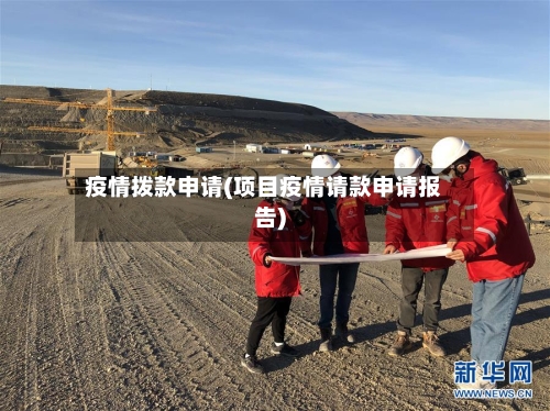 疫情拨款申请(项目疫情请款申请报告)-第2张图片