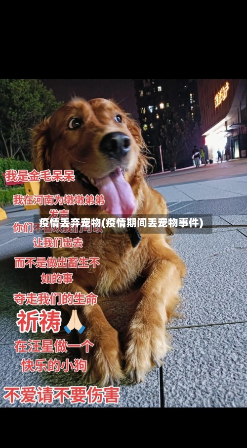 疫情丢弃宠物(疫情期间丢宠物事件)-第2张图片