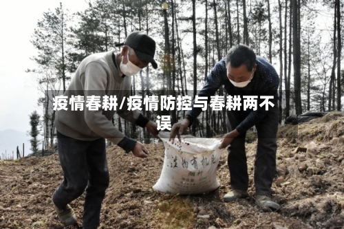 疫情春耕/疫情防控与春耕两不误-第2张图片