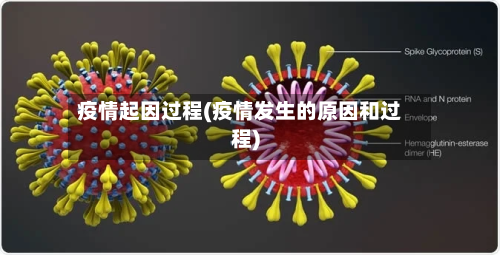 疫情起因过程(疫情发生的原因和过程)-第1张图片